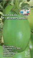 Семена баклажанов Изумрудный F1